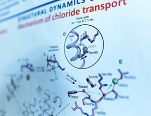 Pracownia Strukturalnej Dynamiki Białek – Centrum Dioscuri Dynamiki Strukturalnej Receptorów