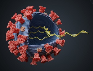 Genetyczne nożyczki w walce z wirusami RNA