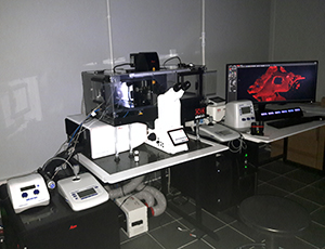 Nowość na WBBiB - mikromanipulator komórkowy sprzężony z mikroskopem fluorescencyjnym